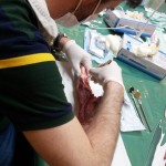 Apertura del lembo e suturazione, esercitazioni pratiche.